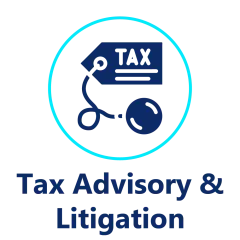 Tax Advisory & Litigation